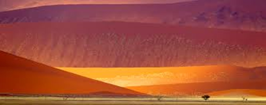 Desert full of Dunes